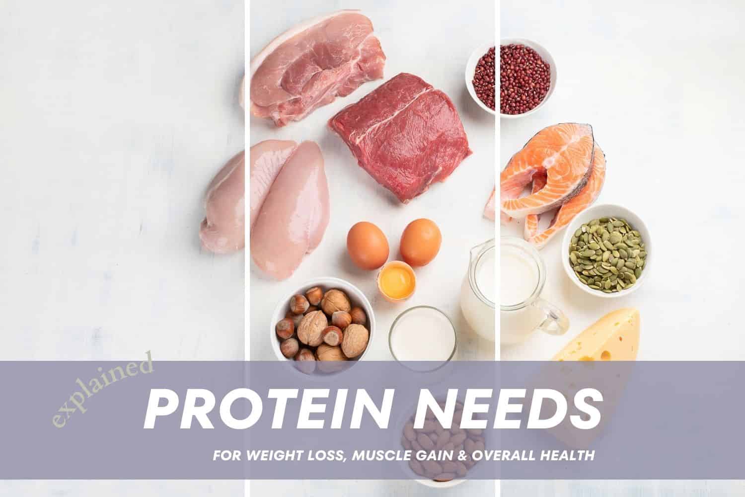 How Much Protein Do You Need? ALL Your Questions Answered with A ...